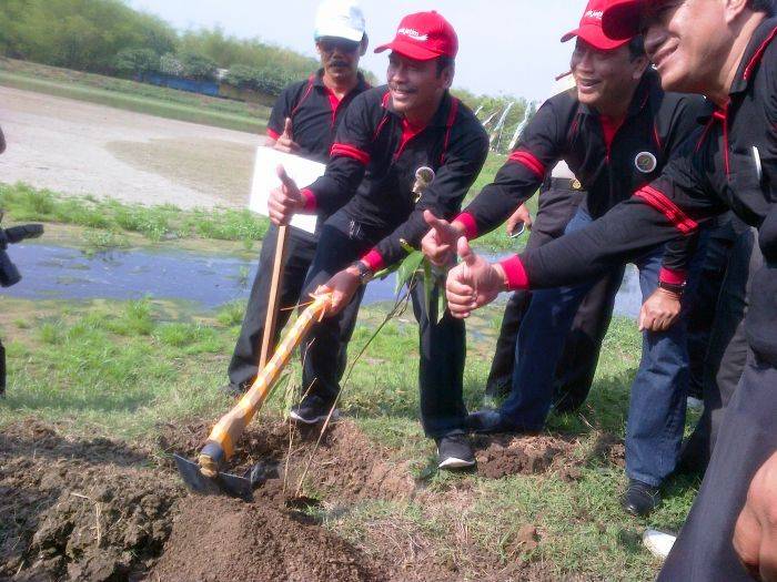Gresik Tanam Pohon Bambu Petung Serentak Gresik Tanam Pohon Bambu Petung Serentak