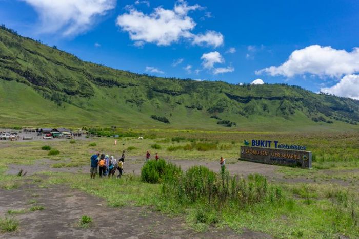 Savana Bromo Sudah Kembali Menghijau, Berikut Harga Tiket Wisatanya