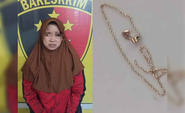Jambret Kalung di Pasar Campurejo Gresik, Emak-emak Ditangkap Polisi Jambret Kalung di Pasar Campurejo Gresik, Emak-emak Ditangkap Polisi