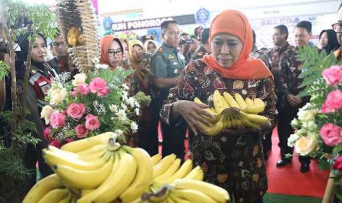 ​Komoditas Pangan Surplus, Gubernur Khofifah: Hanya Kedelai dan Bawang Putih Defisit