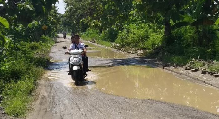 Rusak, Jalan PUK di Kanor Bojonegoro seperti Kubangan Kerbau