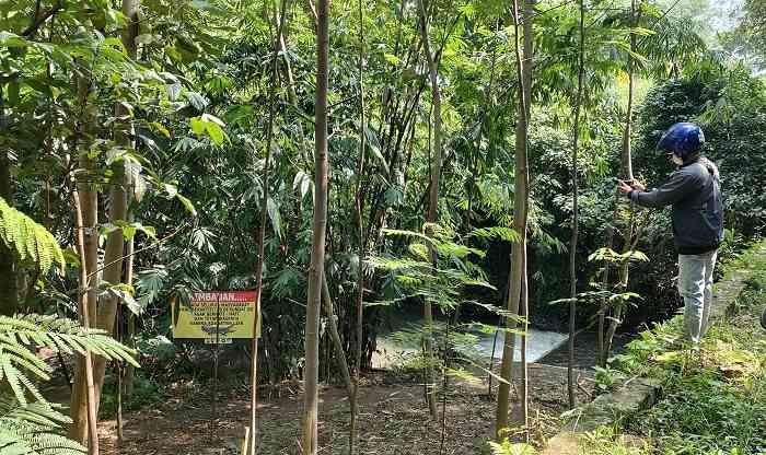 Meresahkan, 3 Ekor Buaya Sering Muncul di Sungai Janti, Warga Siaga