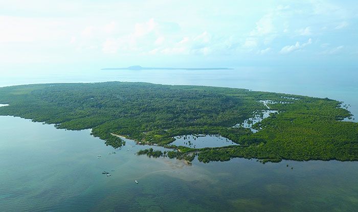 Beka Ecotourism, Konservasi Kakatua Kecil Jambul Kuning di Pulau Masakambing