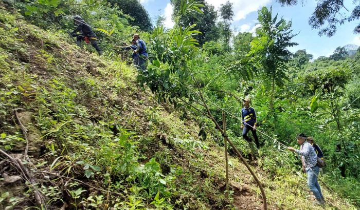 Ratusan Relawan Gotong Royong Tanam Pohon di Lereng Gunung Kelud Ratusan Relawan Gotong Royong Tanam Pohon di Lereng Gunung Kelud