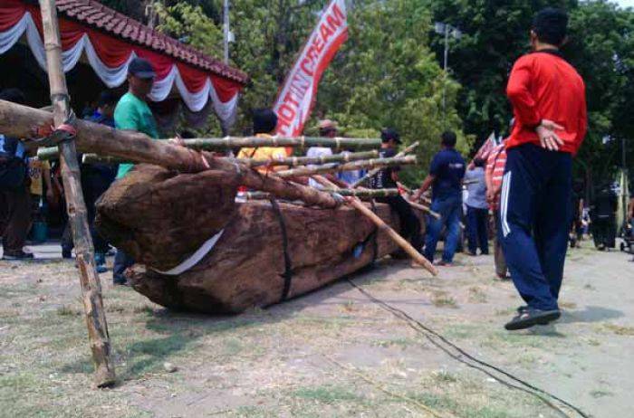 Diambil dari Dasar Sungai Bengawan Solo, Kayu Jati ini akan jadi Monumen di Alun-alun Bojonegoro