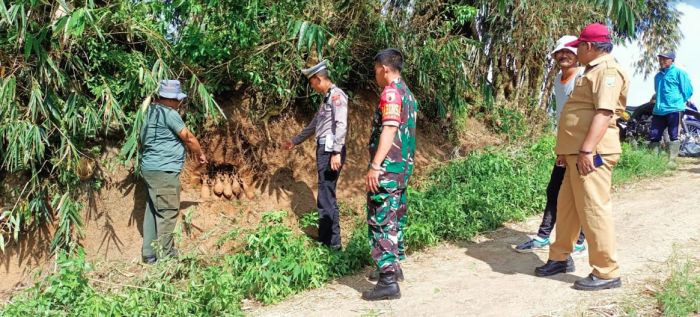 Geger Penemuan 9 Mortir Aktif di Perbukitan Kecamatan Pujon Malang