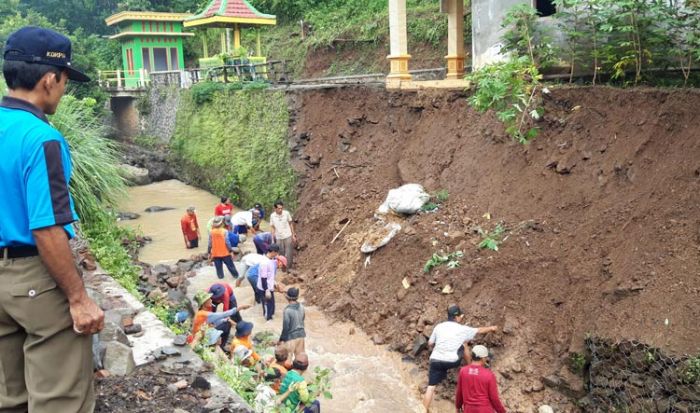 Hujan Deras Tumbangkan Pohon dan Longsorkan Plengsengan di Desa Kalipang Kediri