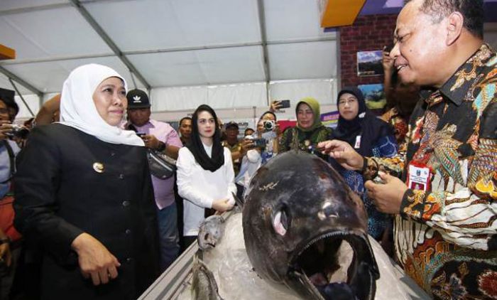 Pecahkan Rekor MURI, Gubernur Khofifah Dorong Mamin Ekonomi Kreatif Berbasis Ikan