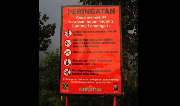 Survei Geothermal di Gunung Lemongan Lumajang Rusak Pohon 