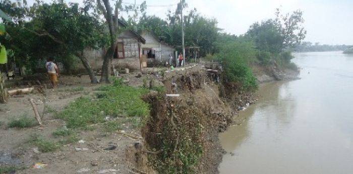 Puluhan Rumah Terancam Longsor ke Dalam Sungai Bengawan Solo
