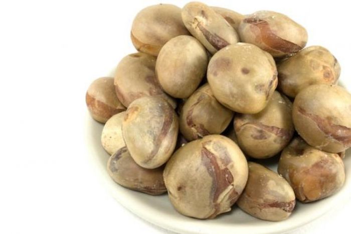 Biji Nangka Dapat Kurangi Kadar Kolesterol, Simak Khasiat Lainnya Biji Nangka Dapat Kurangi Kadar Kolesterol, Simak Khasiat Lainnya