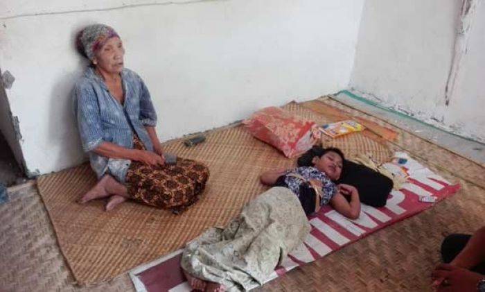 Janda Sebatang Kara di Karangasem Gresik Rawat Cucu Lumpuh 13 Tahun, Bertahan Hidup lewat Rosokan Janda Sebatang Kara di Karangasem Gresik Rawat Cucu Lumpuh 13 Tahun, Bertahan Hidup lewat Rosokan