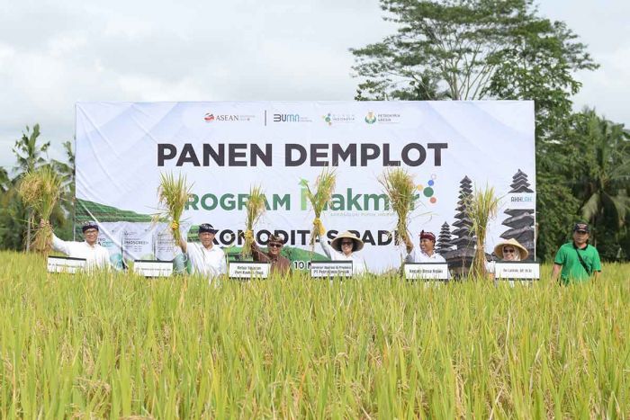 Petrokimia Gresik Berikan Pendampingan Pertanian Komprehensif di Gianyar Bali