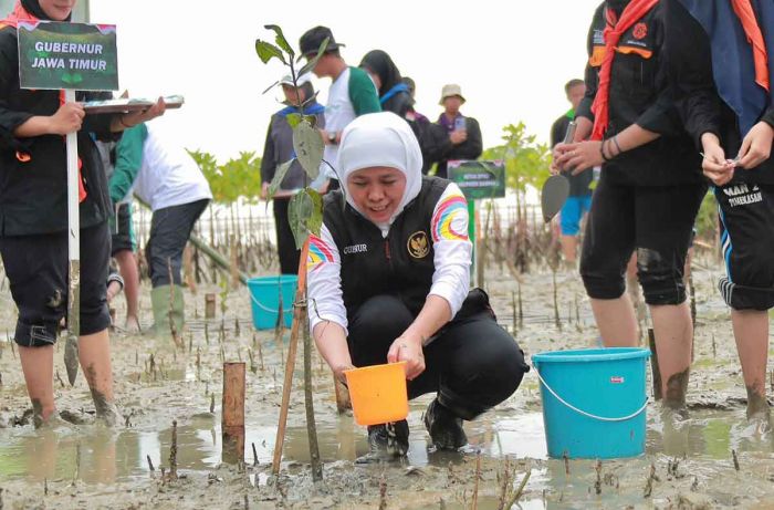 Festival Mangrove Jatim ke-2, Gubernur Khofifah Terus Gaungkan Sedekah Oksigen untuk Dunia