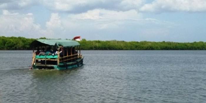 Perahu gondang-gandung, akan menyeberangkan wisatawan di hutan mangrove, dari blok Bedul menuju ke Blok Solo. foto:rosihan c anwar