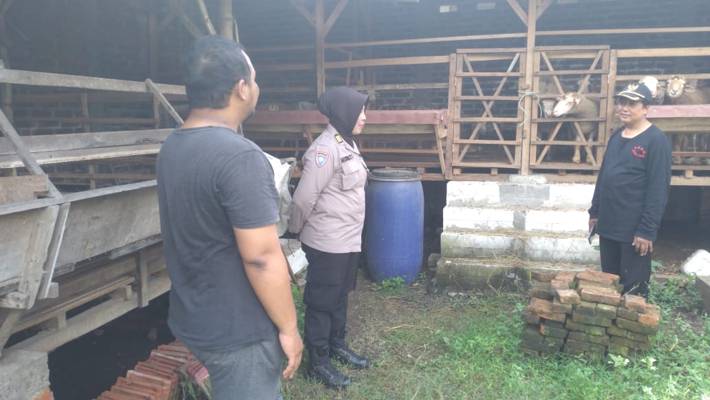 Jelang Iduladha, Polsek Gedangan Bersama Perangkat Desa Ganting Cek Kesehatan Hewan Ternak
