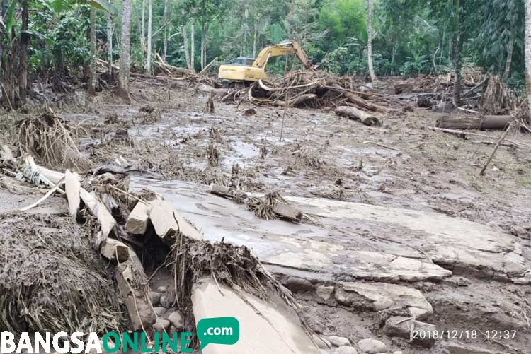 Tanggul Limbah Peternakan  Sapi Greenfields Jebol 6 Sapi 