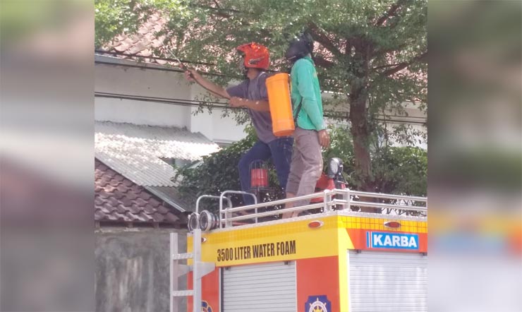 Petugas saat membasmi ulat bulu di Kelurahan Pakelan. foto: ist.