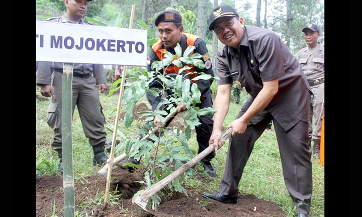 Bupati Pungkasiadi ketika mengawali gerakan menanam pohon.