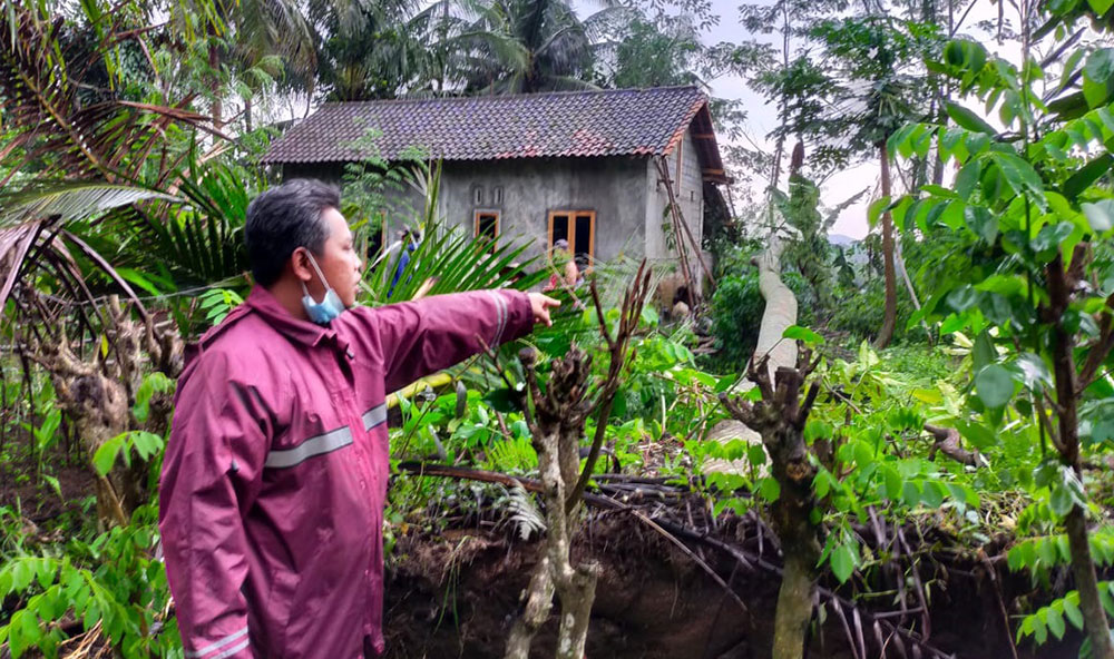 Seorang warga saat menunjukkan lokasi pohon tumbang di  Kecamatan Doko, Kabupaten Blitar.