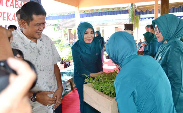 Manfaatkan Pekarangan Keluarga, Bupati Nganjuk Launching Gerakan Tanam Cabai