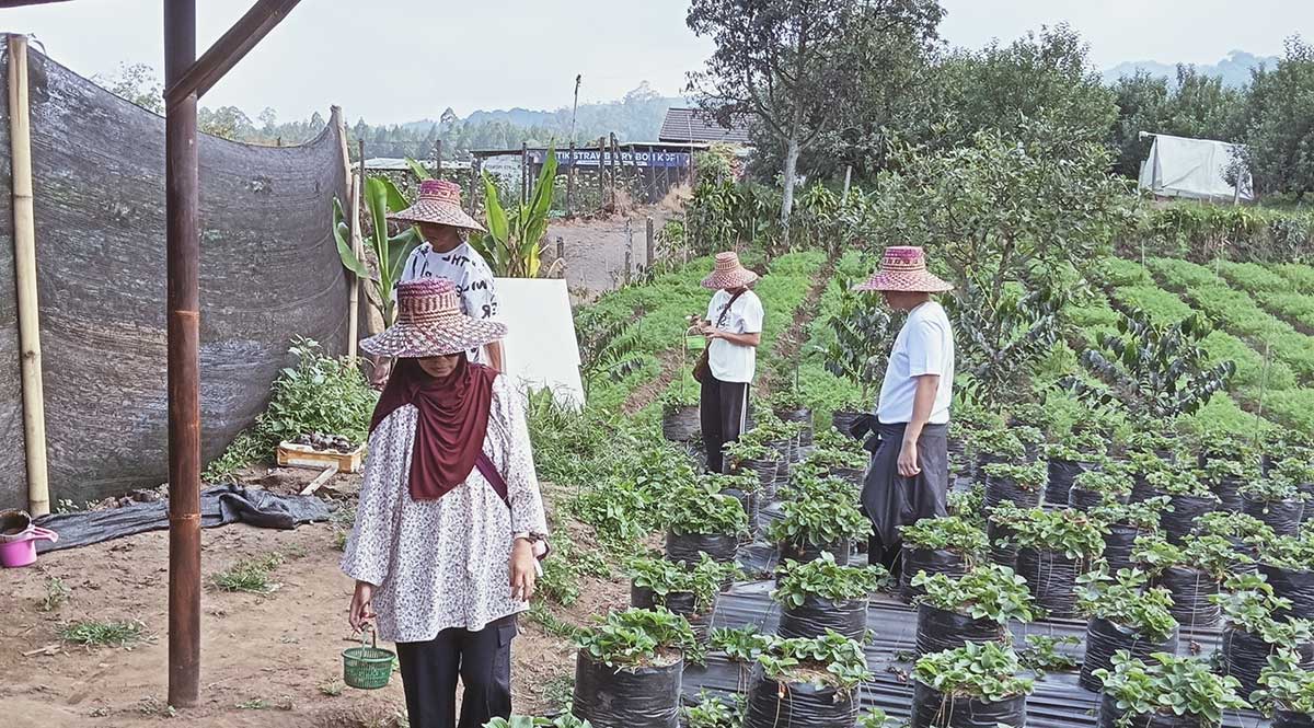 Salah satu destinasi wisata yang ramai dikunjungi wisatawan mancanegara di Kota Batu.