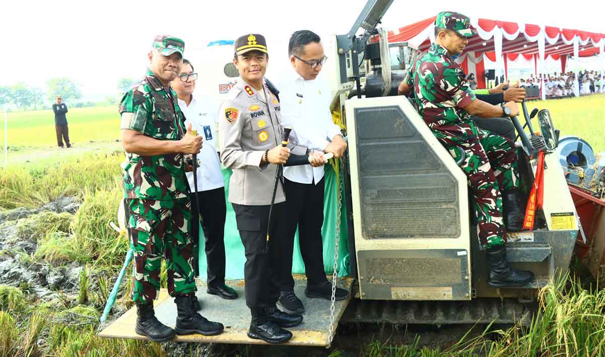 Sejumlah Pejabat di Gresik ini Kompak Hadiri Panen Raya Padi Serentak