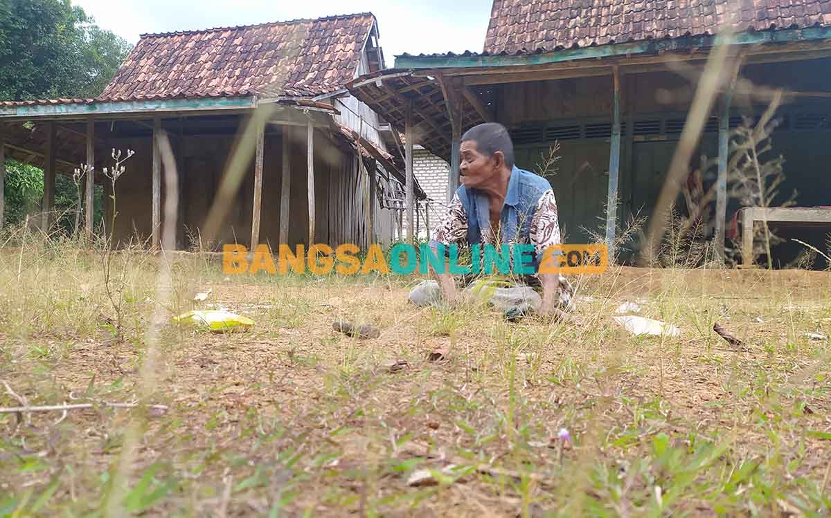 40 Tahun Menderita Penyakit Hernia, Kakek Tua di Sampang Butuh Bantuan