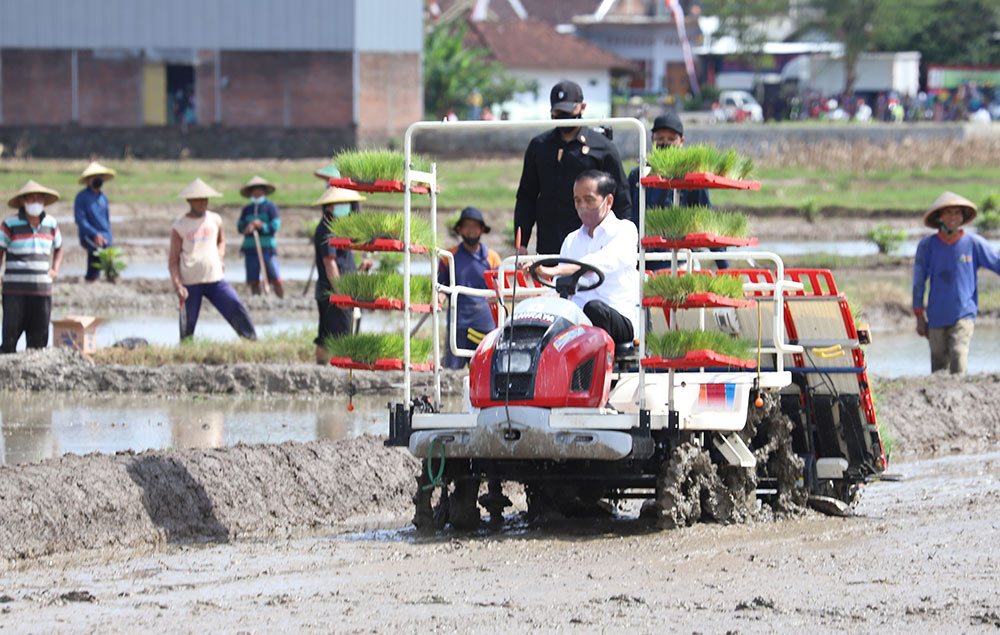 Presiden Jokowi saat tanam padi di Desa Buluagung Kecamatan Karangan, Kabupaten Trenggalek. foto: HERMAN/ BANGSAONLINE