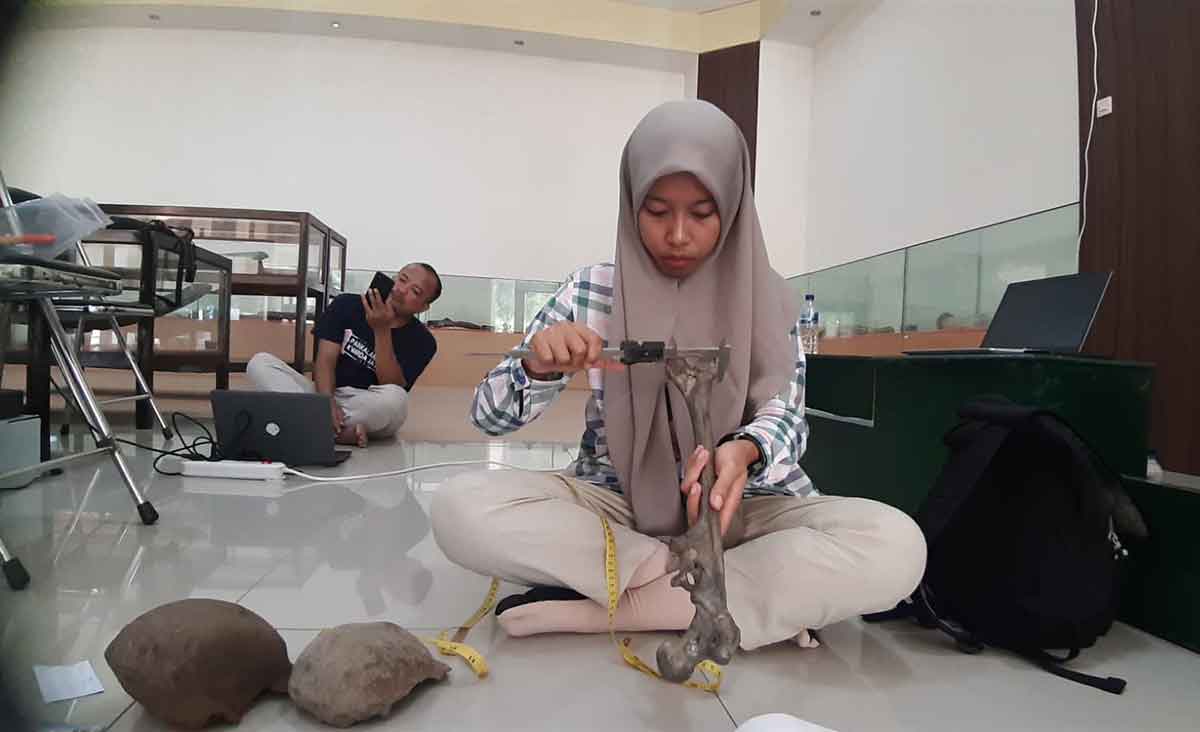 Para pamong budaya saat menginventarisir koleksi Museum Trinil Ngawi.