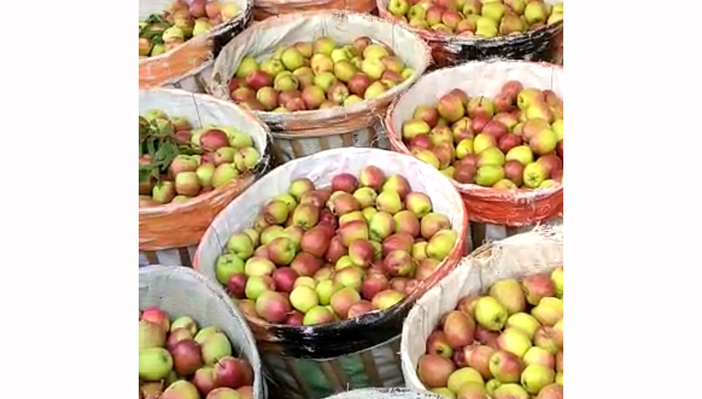 Penampakan apel yang dijajakan di pasar buah.