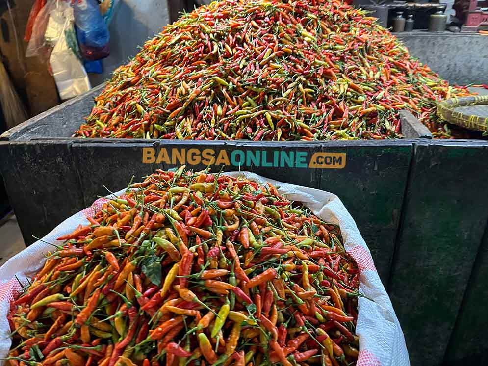 Harga cabai rawit di Jatim alami kenaikan. Foto: Sulthon/BANGSAONLINE.
