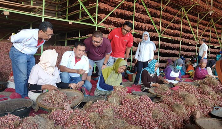 Dirut PG, Rahmad Pribadi (ke-3 dari kiri) meninjau langsung hasil panen bawang di Kab Brebes. foto: ist