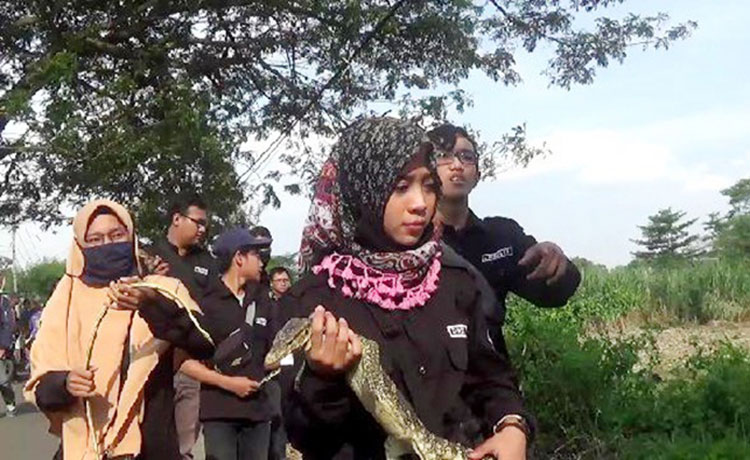 Para pegiat lingkungan dari Kopling saat akan melepas satwa ke alam bebas.