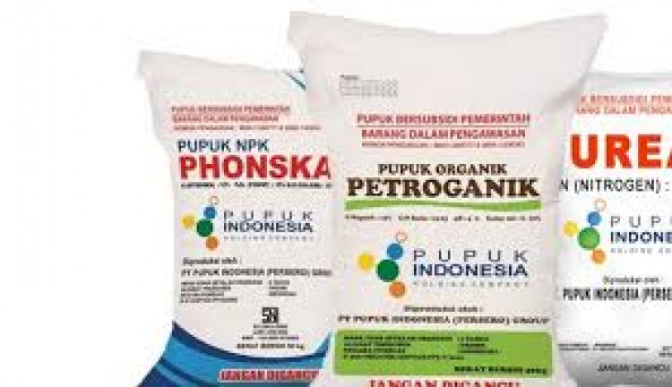 Pupuk Bersubsidi Menyusut, Kabupaten Probolinggo Hanya Kebagian 90.997 Ton