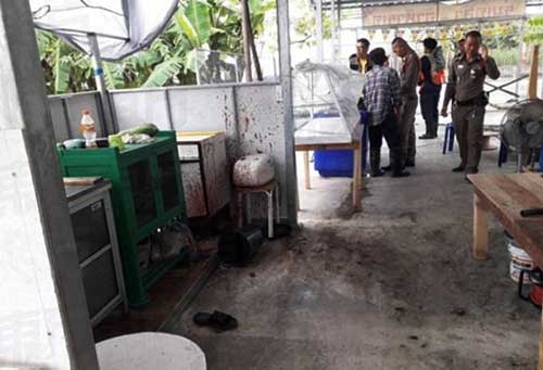 Restoran Ini Sajikan Menu Daging Cincang dari Tubuh Manusia
