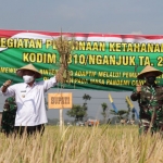 Plt Bupati Marhaen Jumadi lakukan panen perdana Padi Sehat sistem Demplot. foto: BAMBANG/ BANGSAONLINE