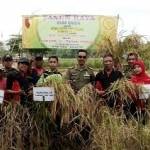 bangkalan