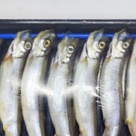 Resep dan Tips Masak Ikan Shisamo Goreng Tepung yang Viral di TikTok. Foto: Ist