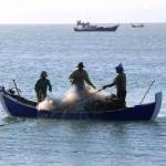 Nelayan menangkap ikan menggunakan alat tangkap pukat hela. foto: ilustrasi