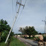 Kondisi tiang listrik di ruas jalan poros Kecamatan Kerek.