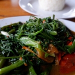 Resep Tumis Sayur Kangkung Saus Tiram. Foto: Ist