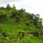 Gunung Abang yang ada di Pasrepan.