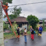 Salah satu bencana pohon tumbang akibat angin kencang.