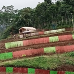 Tenda glamping di Bumi Perkemahan Glagah Arum Seduro Lumajang. (foto: ist)