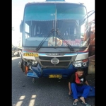 Bus Sumber Selamat yang menyambar pemotor warga Desa Kebon, Kecamatan Paron, Ngawi.
