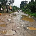 Kondisi jalan yang rusak parah di Desa Sidoharjo, Kecamatan Pulung.