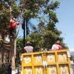 Petugas DPUPR Kota Batu saat melakukan perantingan pohon di Jalan Raya Panglima Sudirman, Kota Batu.