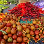 Foto: Sulthon/Bangsaonline.