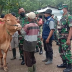 Dandim 0805/Ngawi, Letkol Inf Adi Wirawan, saat meninjau vaksinasi PMK di pasar hewan.